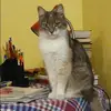 Отзыв от Василиса Котова
